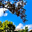 B&B La Noce