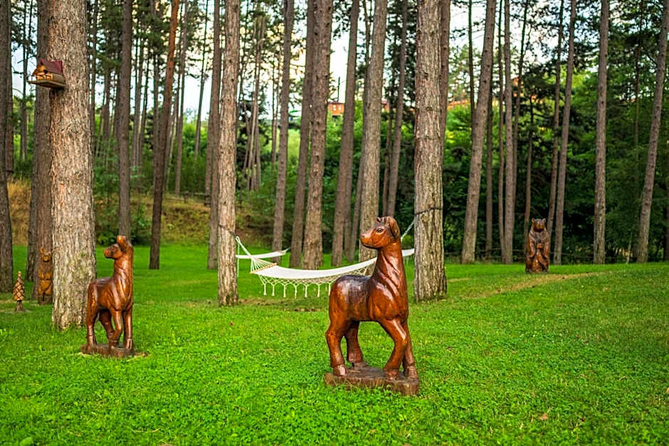 SPA Hotel Infinity Park Velingrad