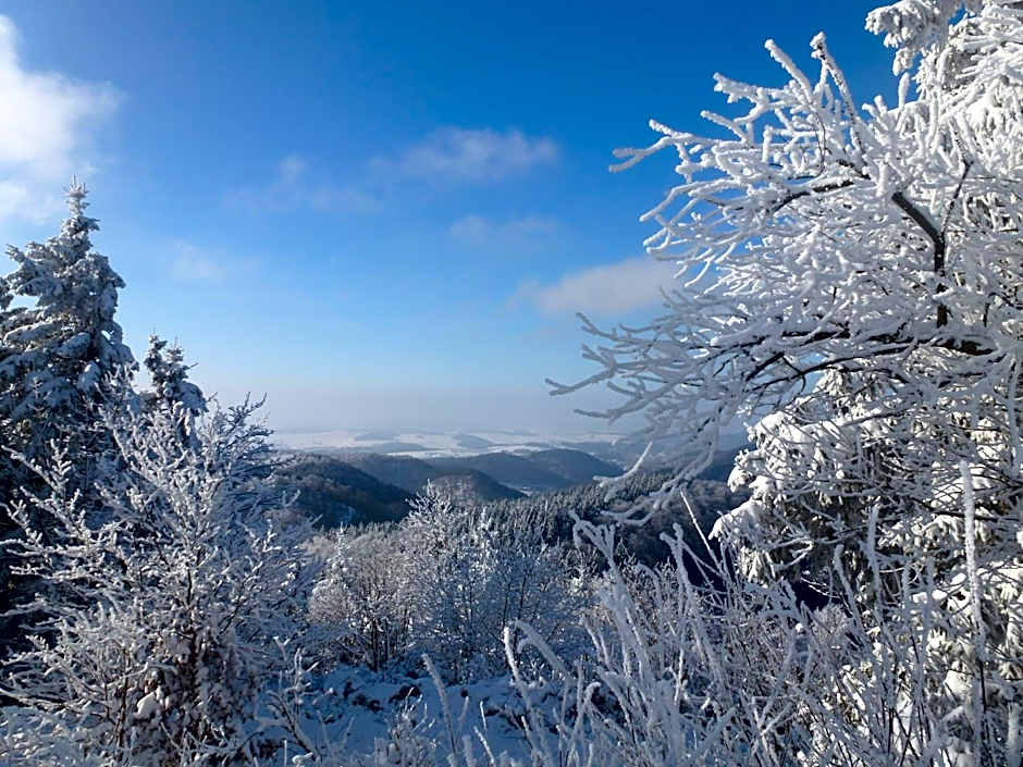 Hotel Pension Gelpkes Mühle