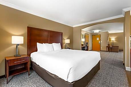 King Suite with Sofa Bed - Non-Smoking