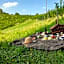 Weingut Winzerzimmer Rothschädl