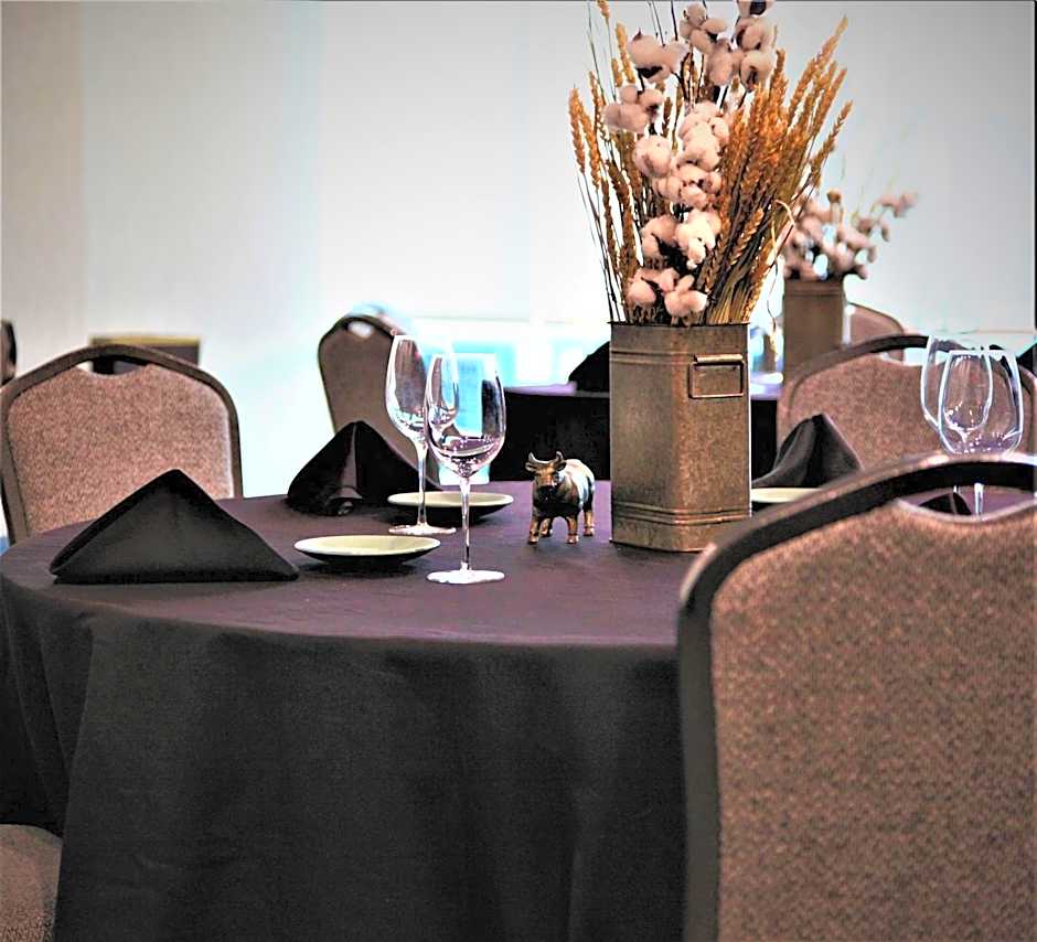 Hotel Indigo Frisco By IHG