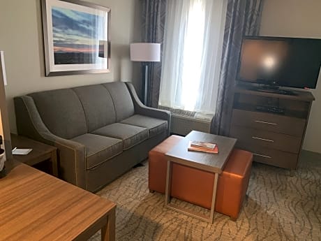 1 King Bed Studio Suite Nonsmoking