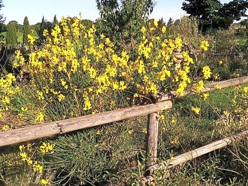 B&B La Gallinella Rossa