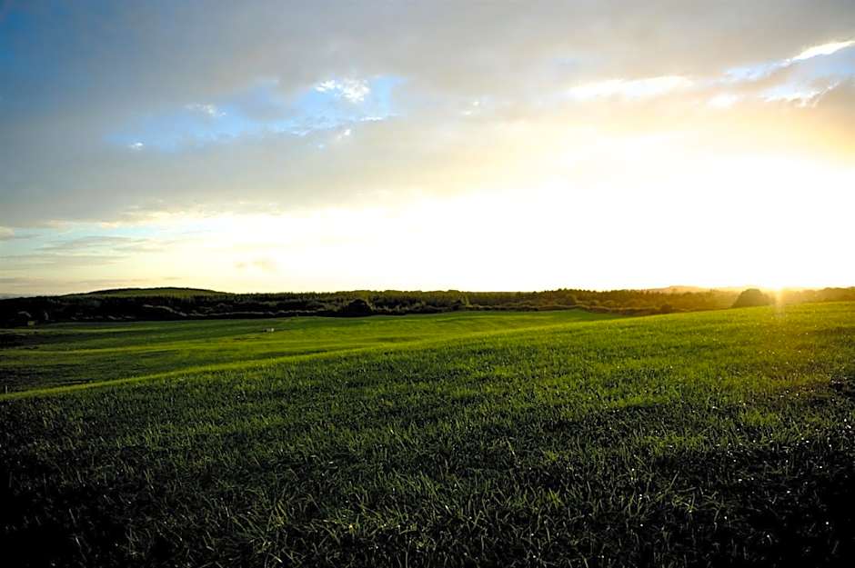 Bunratty Meadows Bed & Breakfast