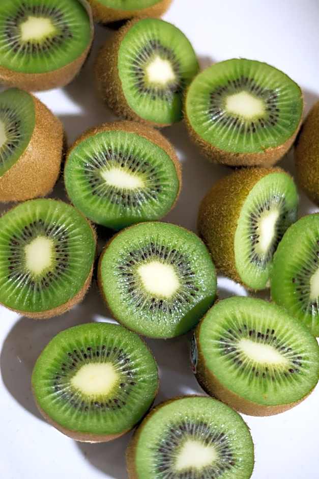 Sercotel Familia Conde