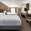 Holiday Inn At Six Flags Saint Louis By IHG