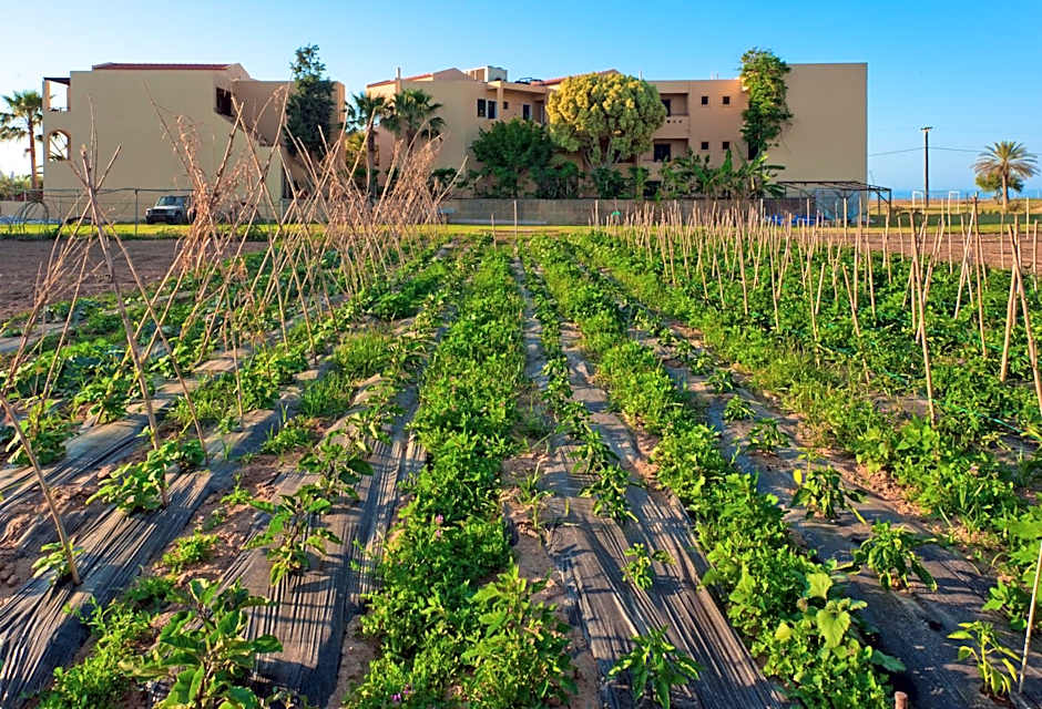 Silver Beach Hotel & Apartments