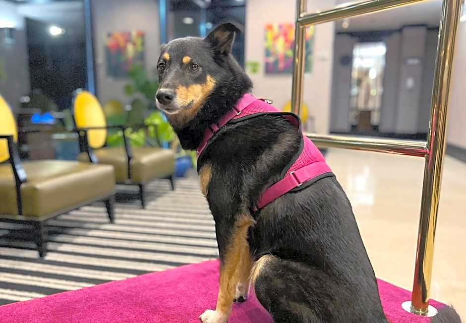 Coast Victoria Hotel & Marina by APA