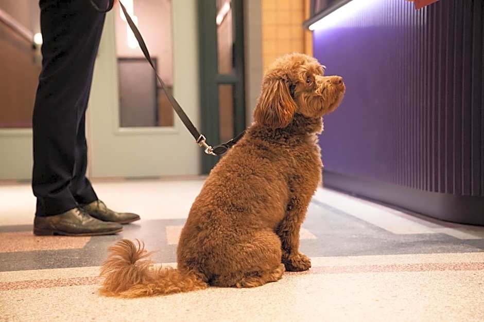 The Rebyl, Nijmegen, a Tribute Portfolio Hotel