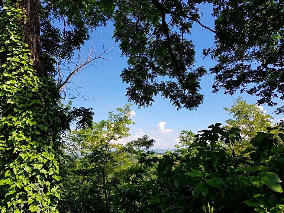 La Collina dei Passeri