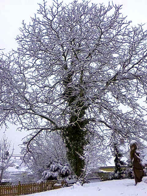 Ambiente Hotel Strehla