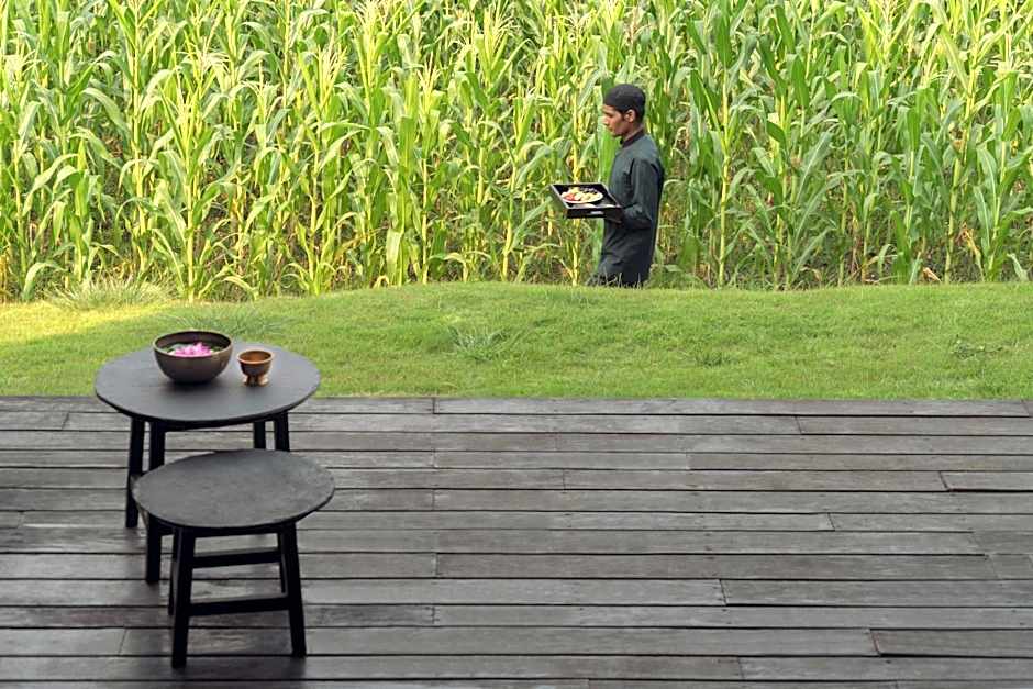 The Pavilions Himalayas The Farm