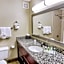 Holiday Inn St. Petersburg N - Clearwater By IHG