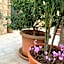 Hedera Capri B&B