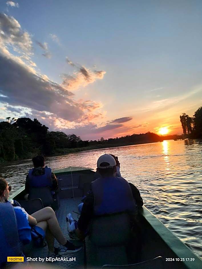 Borneo Jungle Adventure