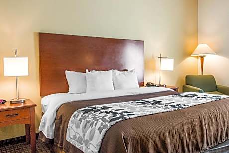 1 King Bed, Nonsmoking