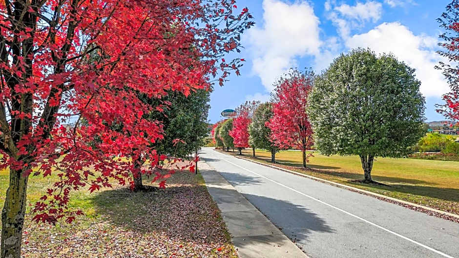 Mountain Inn & Suites Flat Rock