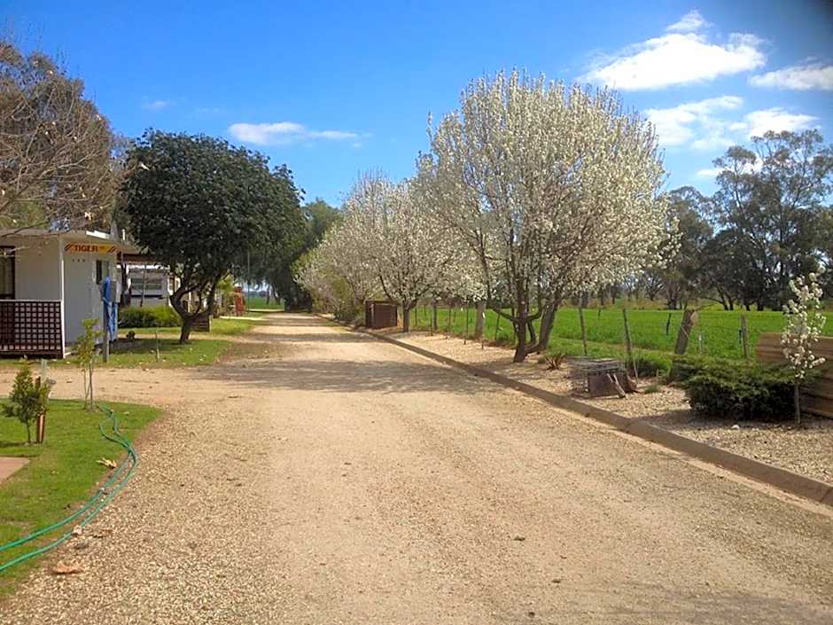 Nagambie Caravan Park & Motel