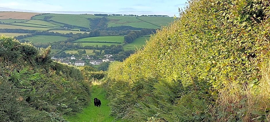 Highfield House, Parracombe, Modern B&B
