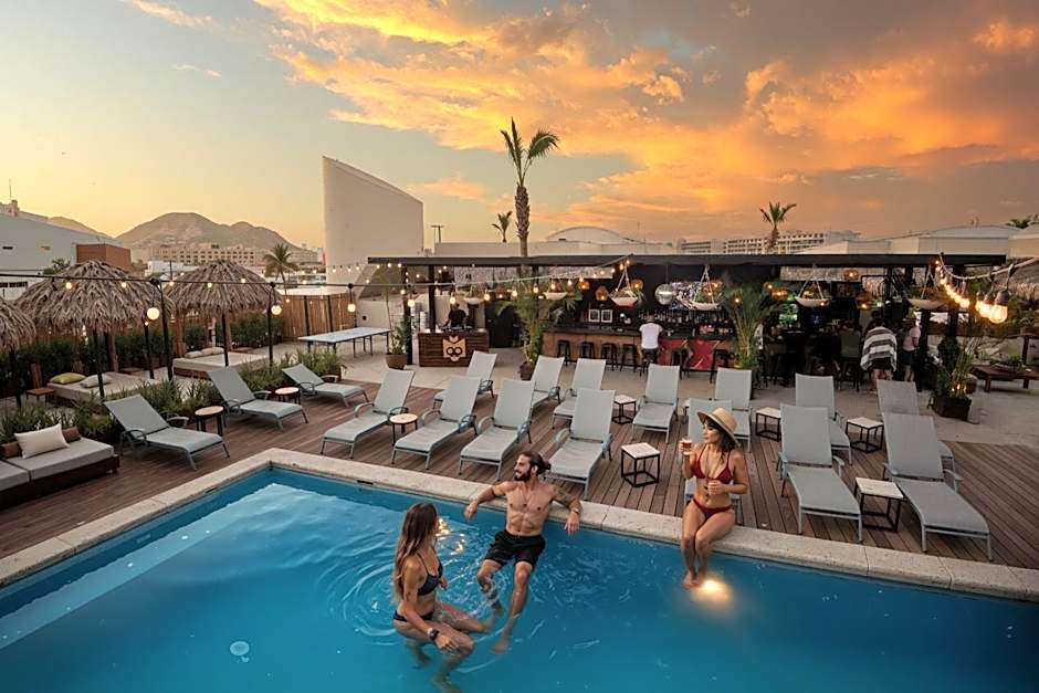 Mayan Monkey Hotel & Hostel Los Cabos
