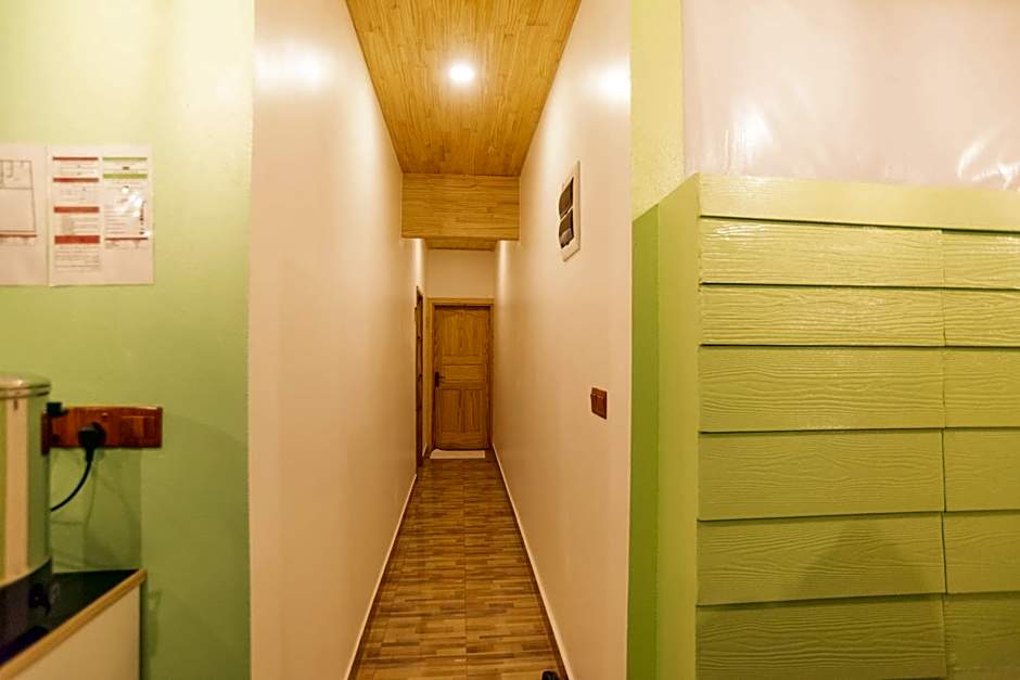 Turtle Maldives - Your Gateway to the Beach & Marine Adventures Await!