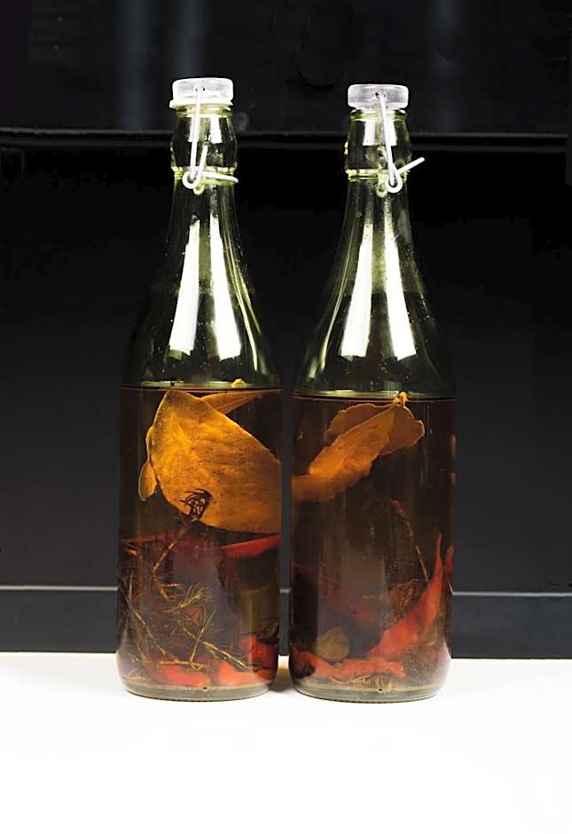 Dar El Marsa Hotel & Spa