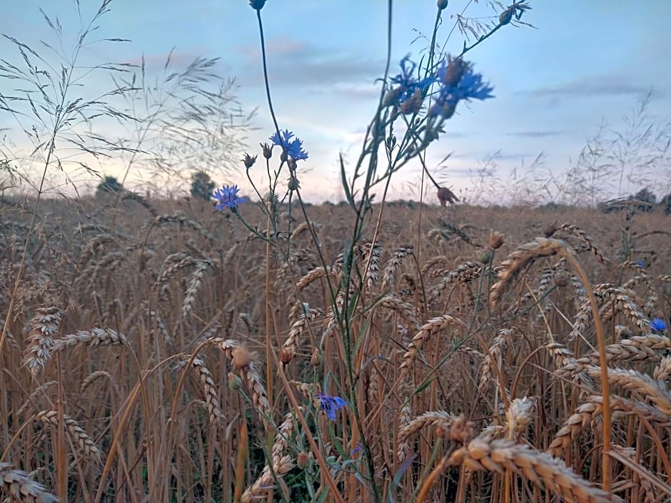 Agroturystyka Cold Sea