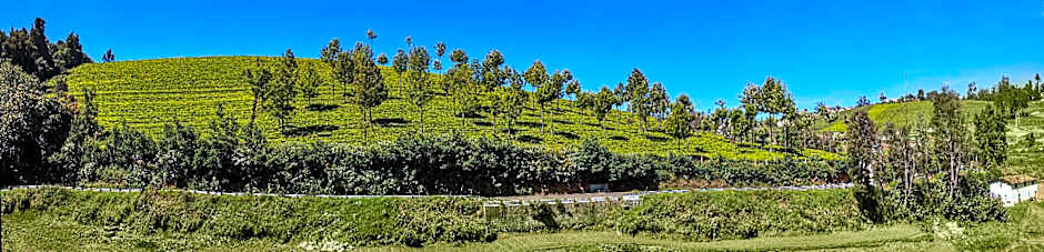 Club Mahindra Danish Villa - Ooty