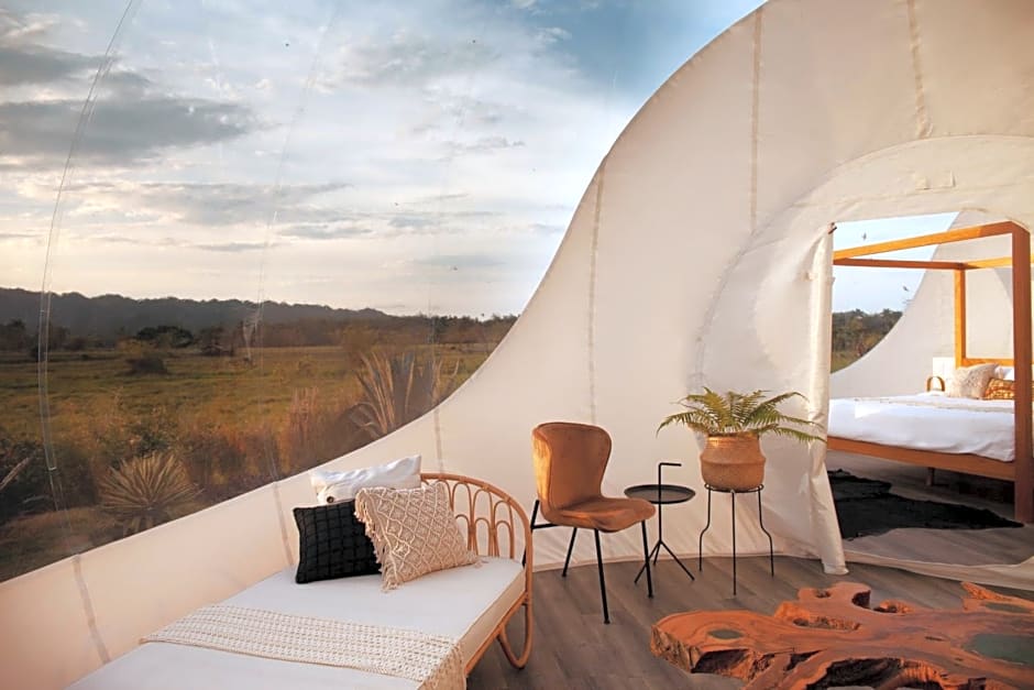 Green Land Bubble Glamping