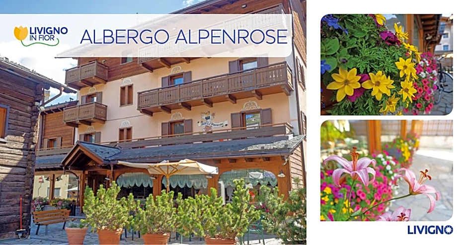 Albergo Alpenrose
