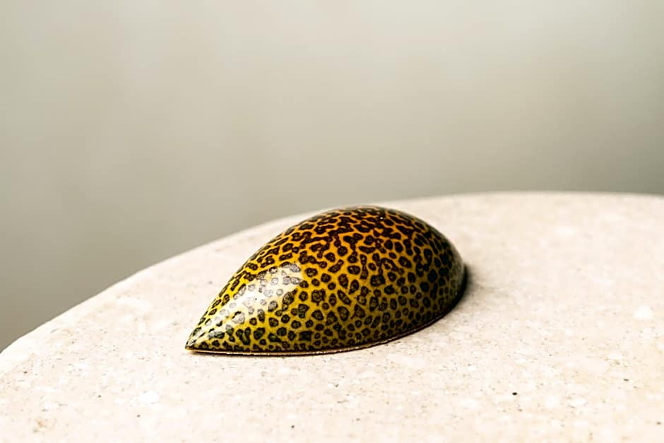 Hotel Palacio de Luces