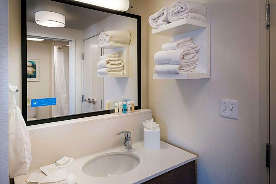 Hampton Inn By Hilton & Suites Carson City