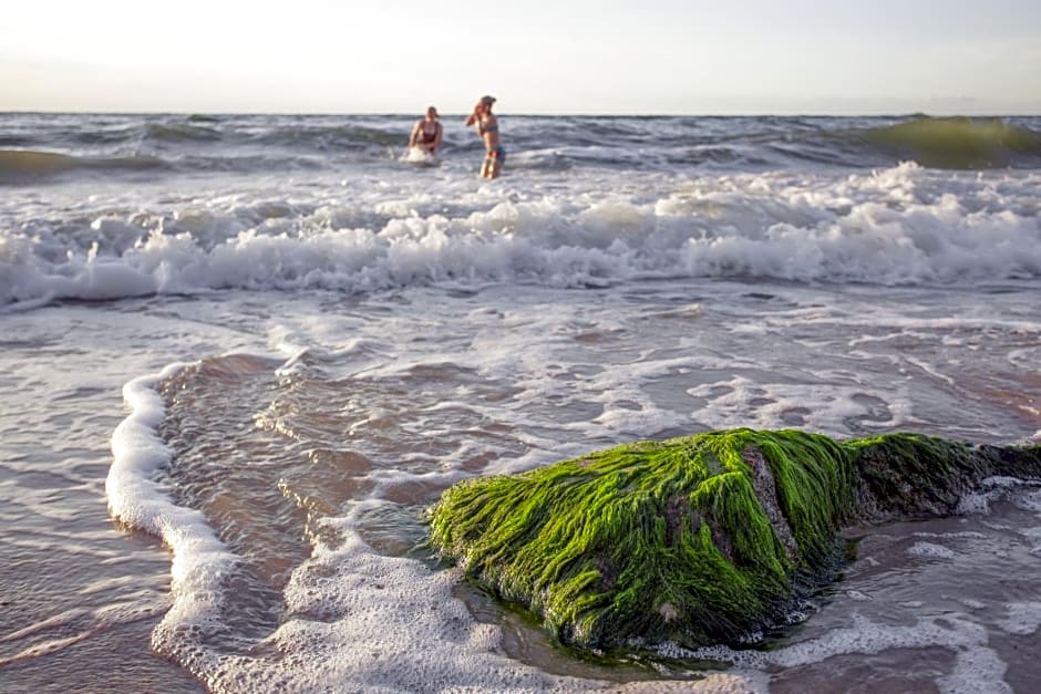 fajnemorze - Domy Szwedzkie