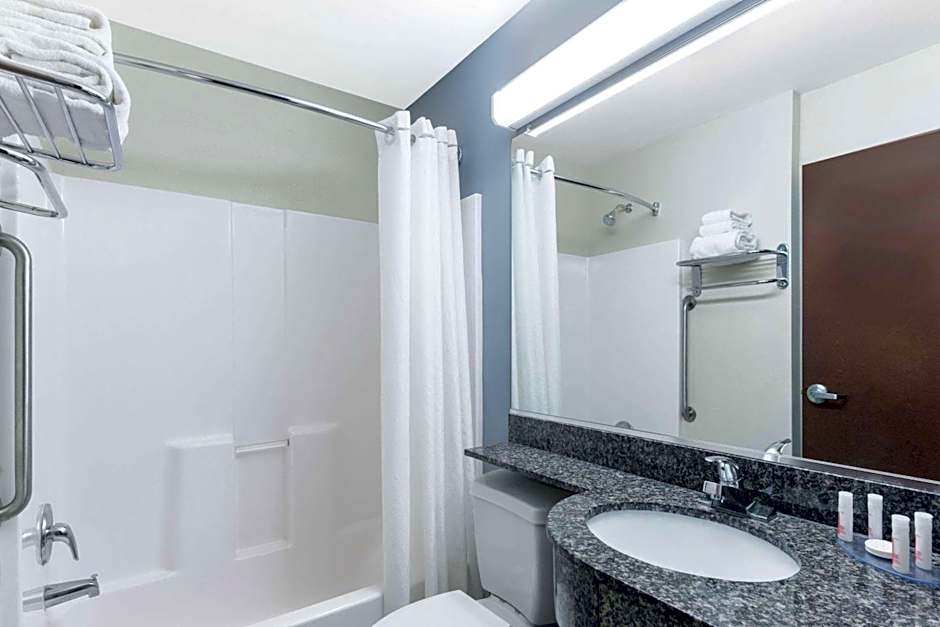 Microtel Inn & Suites by Wyndham Baton Rouge Airport