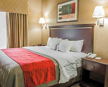 1 King Bed, Suite, Nonsmoking