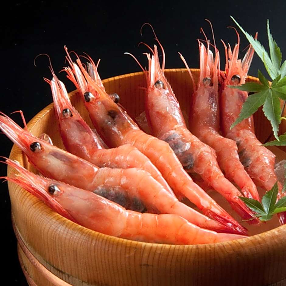 Kyukamura Echizen-Mikuni