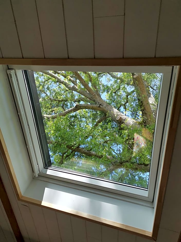 Le moulin de La Retardière