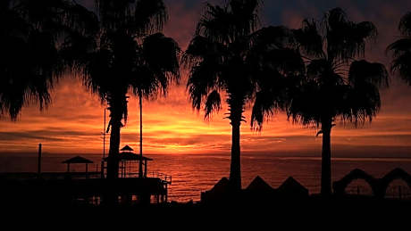 Seagull Hotel - All Inclusive