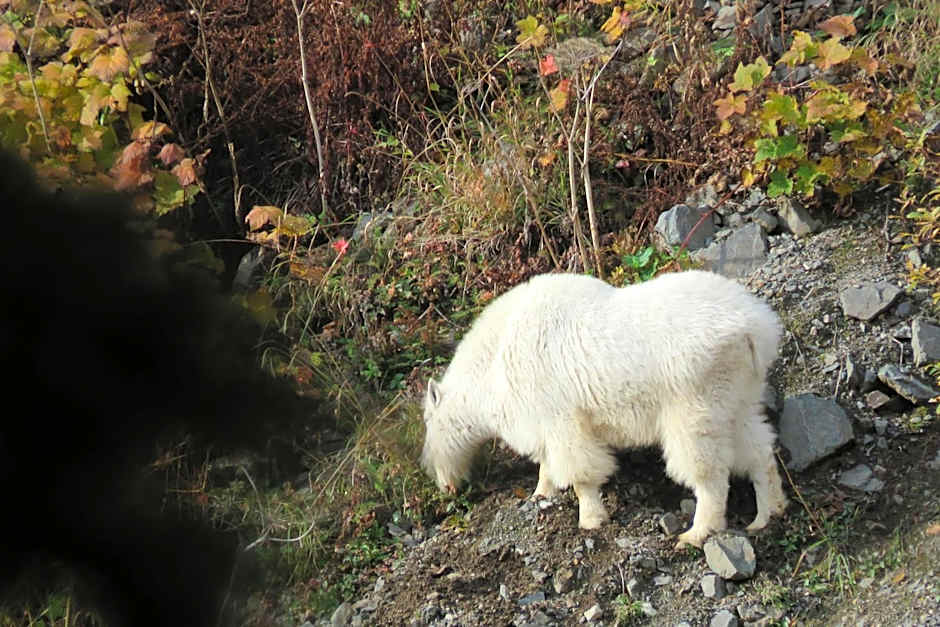 Historic Hotel Bayview