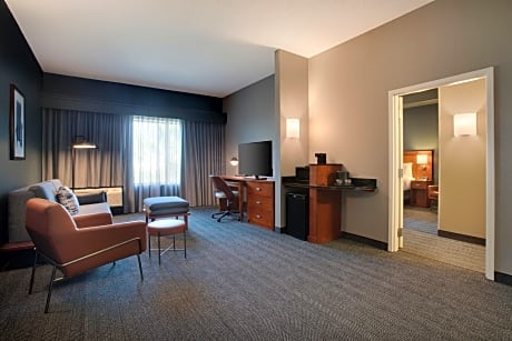 Larger Suite, 1 King, Sofa bed