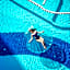 Alba Queen Hotel - Ultra All Inclusive