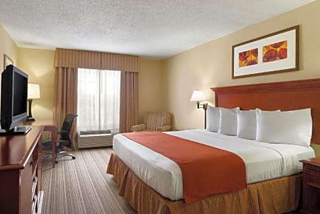 1 King Bed, Nonsmoking, Accessible