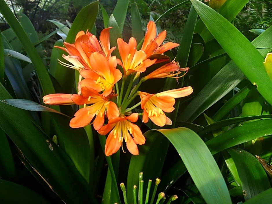 49 on Jans Beach Break