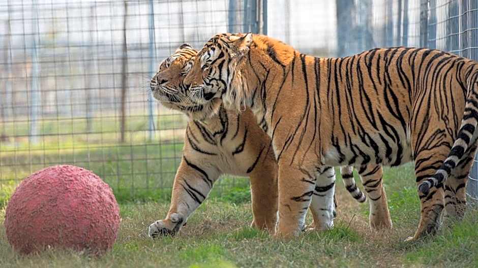Candlewood Suites Fayetteville By IHG