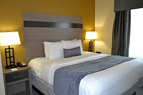 Accessible - 1 King, Mobility Accessible, Communication Assistance, Roll In Shower, Non-Smoking, Ful