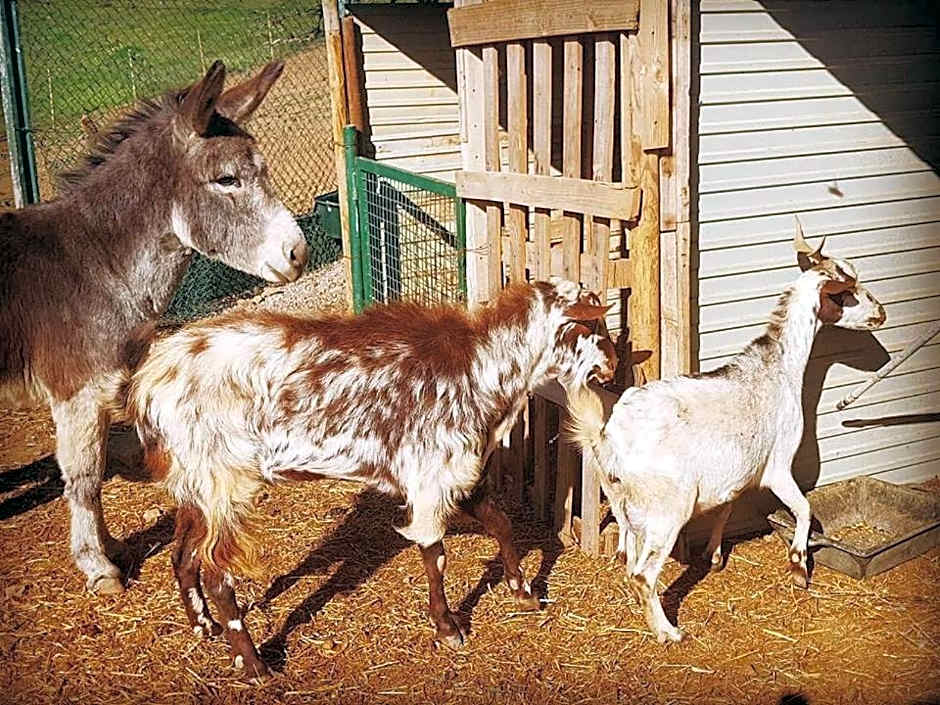 Monte Do Malhao - Art, Eco & Spa