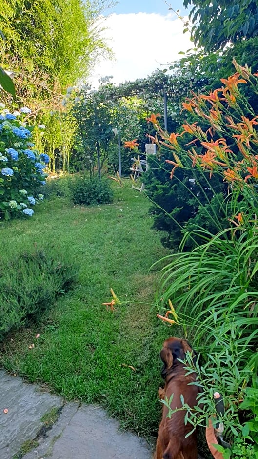 B&B Villa Giardini Susanna