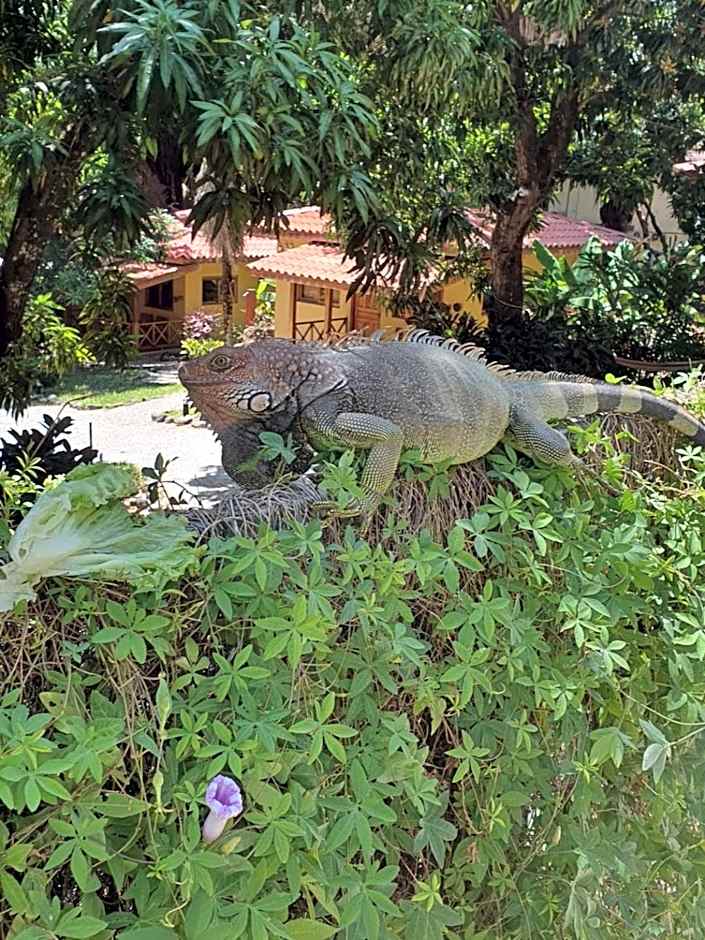 Esencia Hotel and Villas