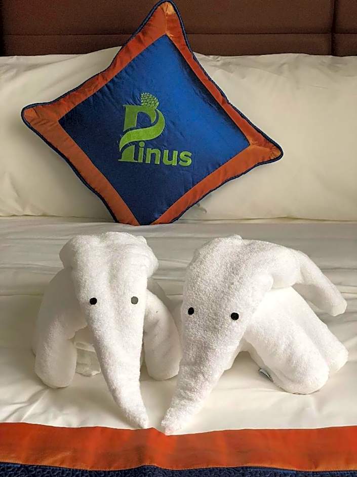 Pinus Hotel